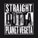 Planet Vegeta - Dragon Ball Discussion 👍
