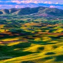 Palouse Area Gaming