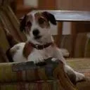 Official Frasier Discord