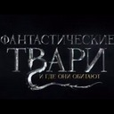 Alt Text!