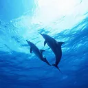 水族館