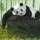 The Bamboo Forest