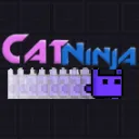 Cat Ninja Speedrunning
