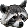 Енотий Картель