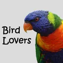 Bird Lovers