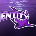 Entity