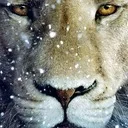 Order of The White Lion