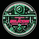 Fragments of Silicon