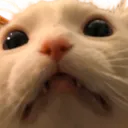 Osu! Hangout