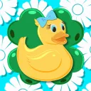 The Duck Pond