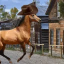 Silverton-Cowboys