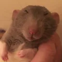 that adhd feel