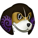Pet