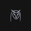 Night Owl Collective