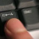 きっしぃさんち