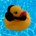 The Duck Pond