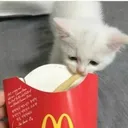 Cat grabbing fry