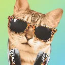 COOL CATS 😽