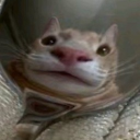 Refreshing ‘ol glass of iced cold water fan club icon