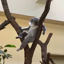 タムリエル居酒屋さん
