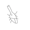カブトムシ養殖施設