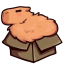 La CapyCueva