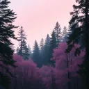 /fall