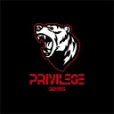Privilege Gaming