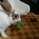 家族団欒