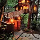 The Tree House