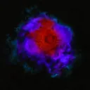 Dark Stars