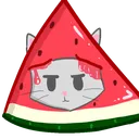 Melonen Netzwerk