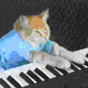 TheKittyArcade ;)