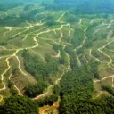 EarthShaping