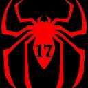 The Web