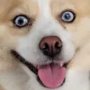 SadlyItsBradley Official - Steam Frame this year