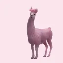 Alpaca Cola's Love Server