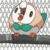 (Not So) Casual Pokémon League