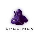The Mad Mage's Manor