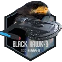 Black Hawk