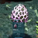 Grandma Rashamane's Adventures!
