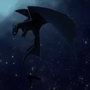 The Night