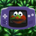 DKC GBA bois