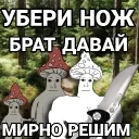 🍄 Грибная Поляна 🍄