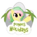 Ponies Holidays