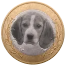 The Dogboat Server