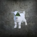 Goat's Meme Room X Luuvy's Loft