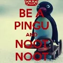 TT2 Pingu Boys