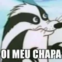 Chapas do Maxy
