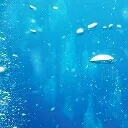 海の底